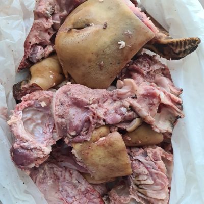 African Goat Head  x Large size